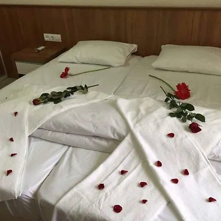 Hotell Palace - Halal Side