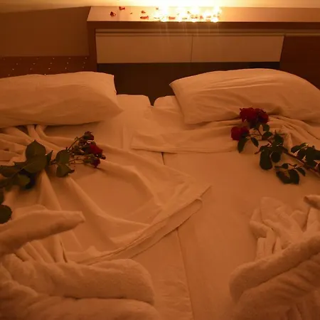 Palace - Halal シダ