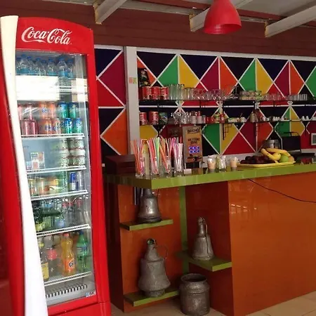 Palace - Halal * シダ